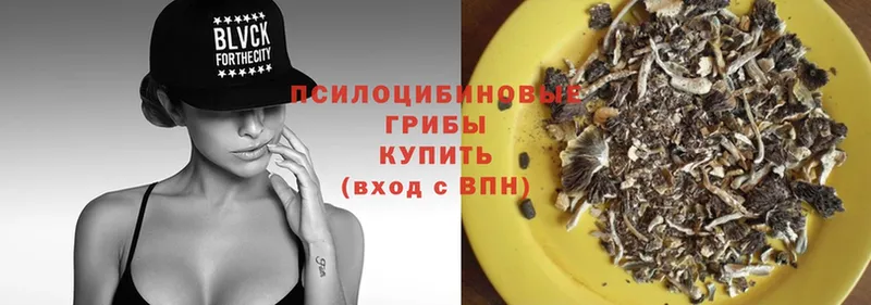 купить   Балабаново  Псилоцибиновые грибы Psilocybe 